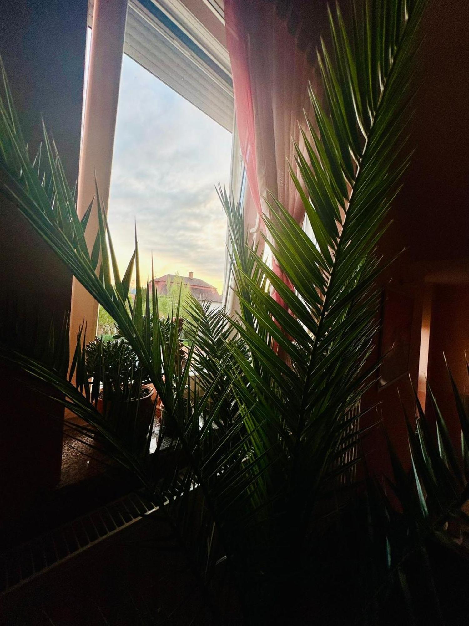 La Villa Pergola Szentgotthárd Exterior foto